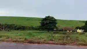 Terreno - Mariluz, PR