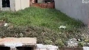 Terreno - Narandiba, SP