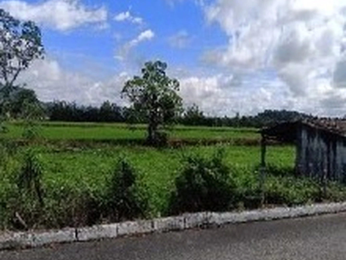 Terreno - Nova Veneza, SC - foto 1