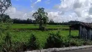 Terreno - Nova Veneza, SC
