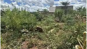 Terreno - Presidente Prudente, SP