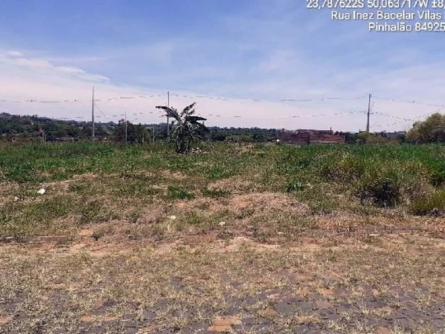 Terreno - Pinhalao, PR - foto 1