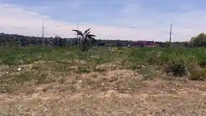 Terreno - Pinhalao, PR