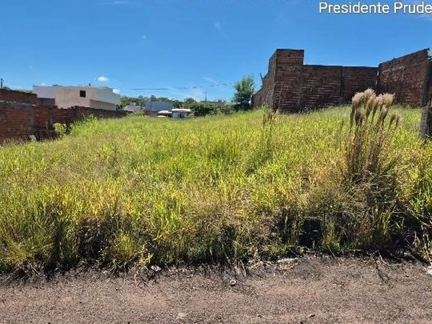Terreno - Presidente Prudente, SP - foto 1