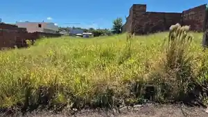 Terreno - Presidente Prudente, SP
