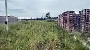 Terreno - Pelotas, RS