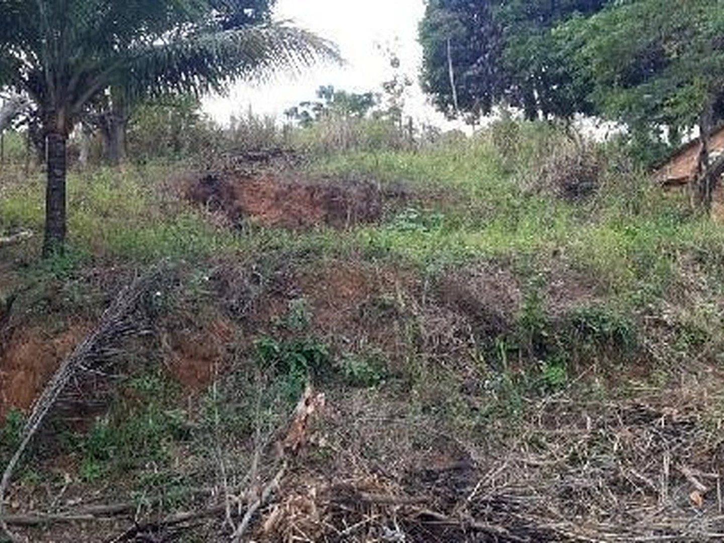Terreno - Cariacica, ES - foto 1