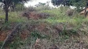 Terreno - Cariacica, ES