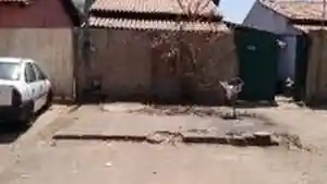 Casa - Padre Bernardo, GO