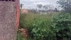 Terreno - Bauru, SP