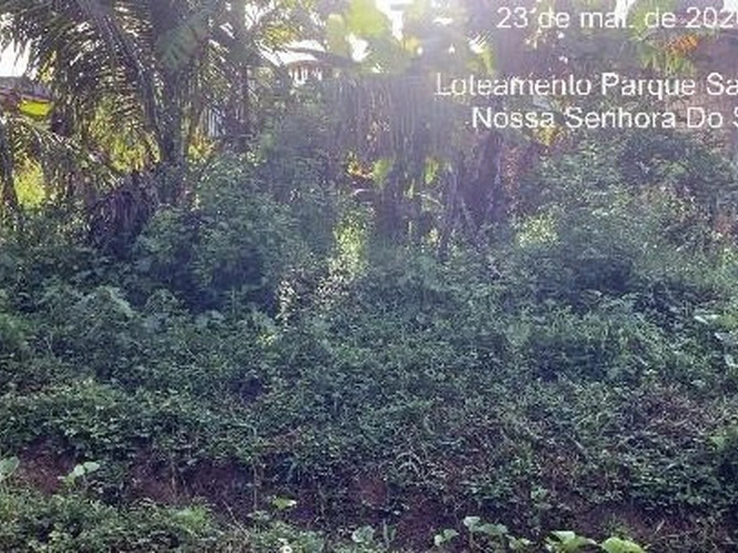 Terreno - Nossa Senhora Do Socorro, SE - foto 1