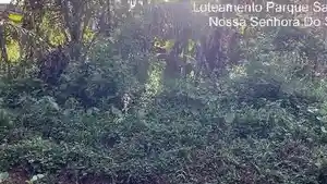 Terreno - Nossa Senhora Do Socorro, SE