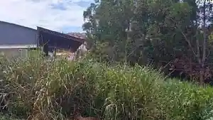 Terreno - Paraguacu, MG