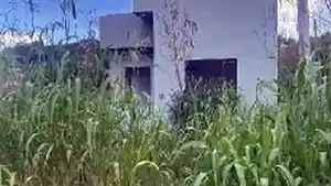 Terreno - Cornelio Procopio, PR