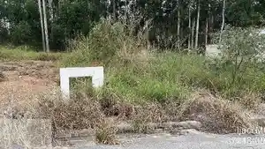 Terreno - Ijaci, MG