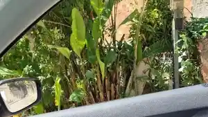 Casa - Sao Goncalo, RJ