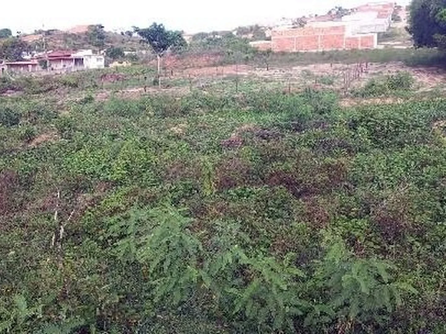 Terreno - Nossa Senhora Do Socorro, SE - foto 1