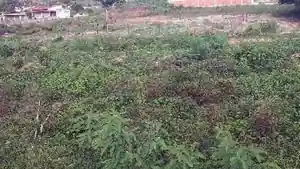 Terreno - Nossa Senhora Do Socorro, SE