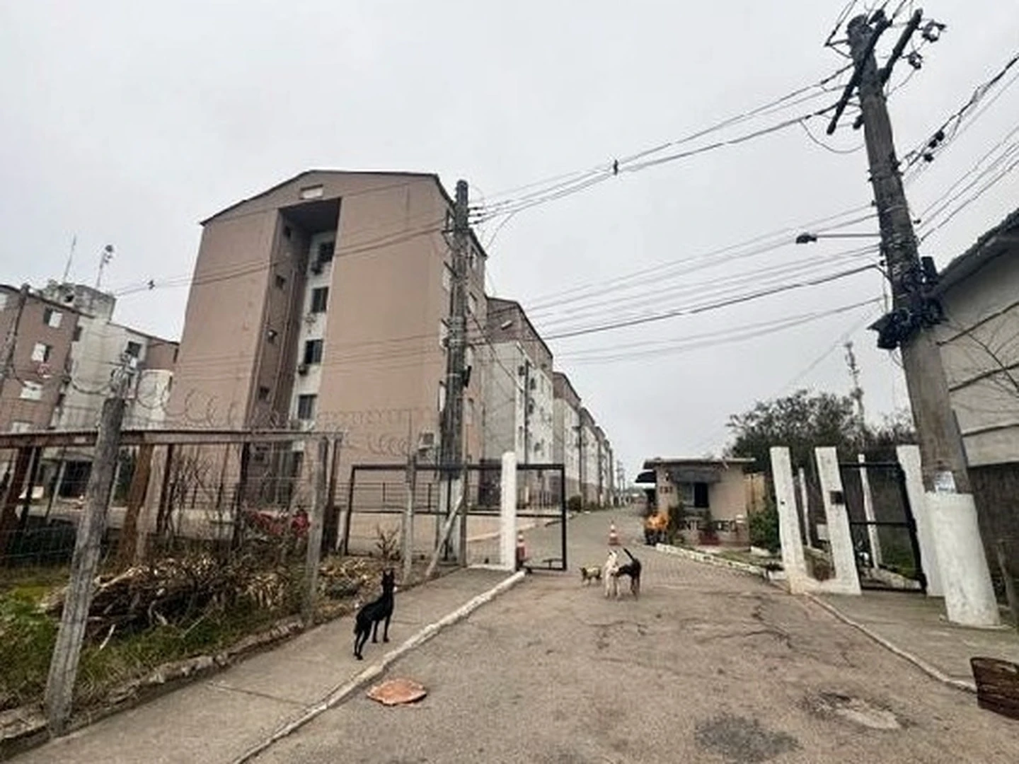 Apartamento - Pelotas, RS - foto 1