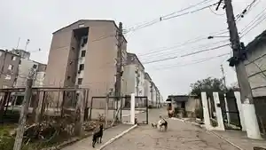 Apartamento - Pelotas, RS