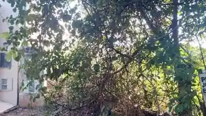 Terreno - Presidente Prudente, SP