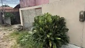 Casa - Santa Maria Do Para, PA