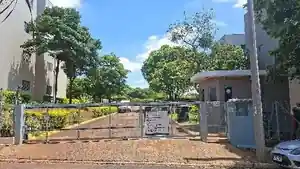 Apartamento - Araraquara, SP