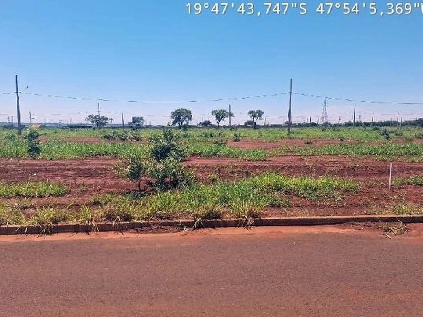 Terreno - Uberaba, MG - foto 1