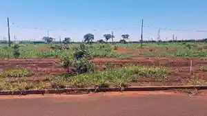 Terreno - Uberaba, MG