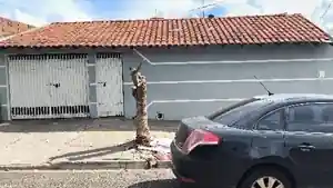 Casa - Bauru, SP