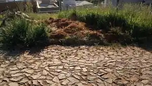 Terreno - Novo Hamburgo, RS