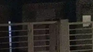 Casa - Carpina, PE