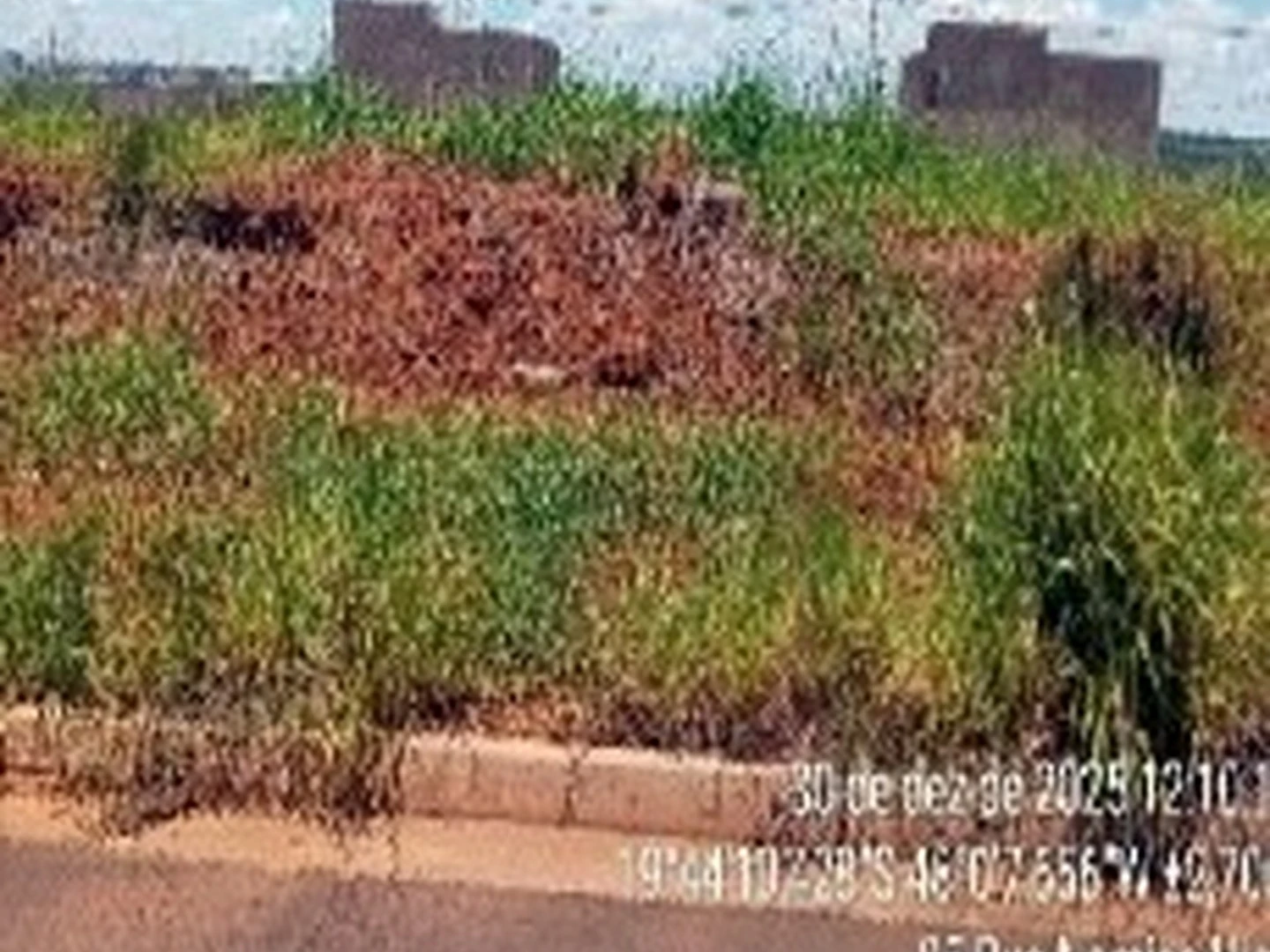 Terreno - Uberaba, MG - foto 1