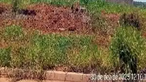 Terreno - Uberaba, MG