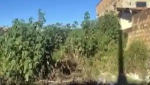 Terreno - Araxa, MG