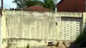Prédio - Presidente Prudente, SP