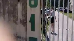 Apartamento - Rio De Janeiro, RJ