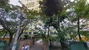 Apartamento - Rio De Janeiro, RJ