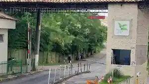 Apartamento - Cotia, SP