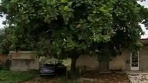 Terreno - Duque De Caxias, RJ