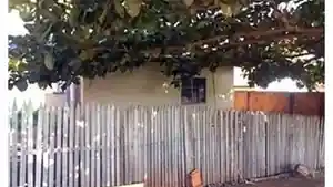 Casa - Jandaia Do Sul, PR
