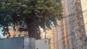 Apartamento - Rio De Janeiro, RJ