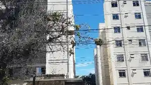 Apartamento - Contagem, MG