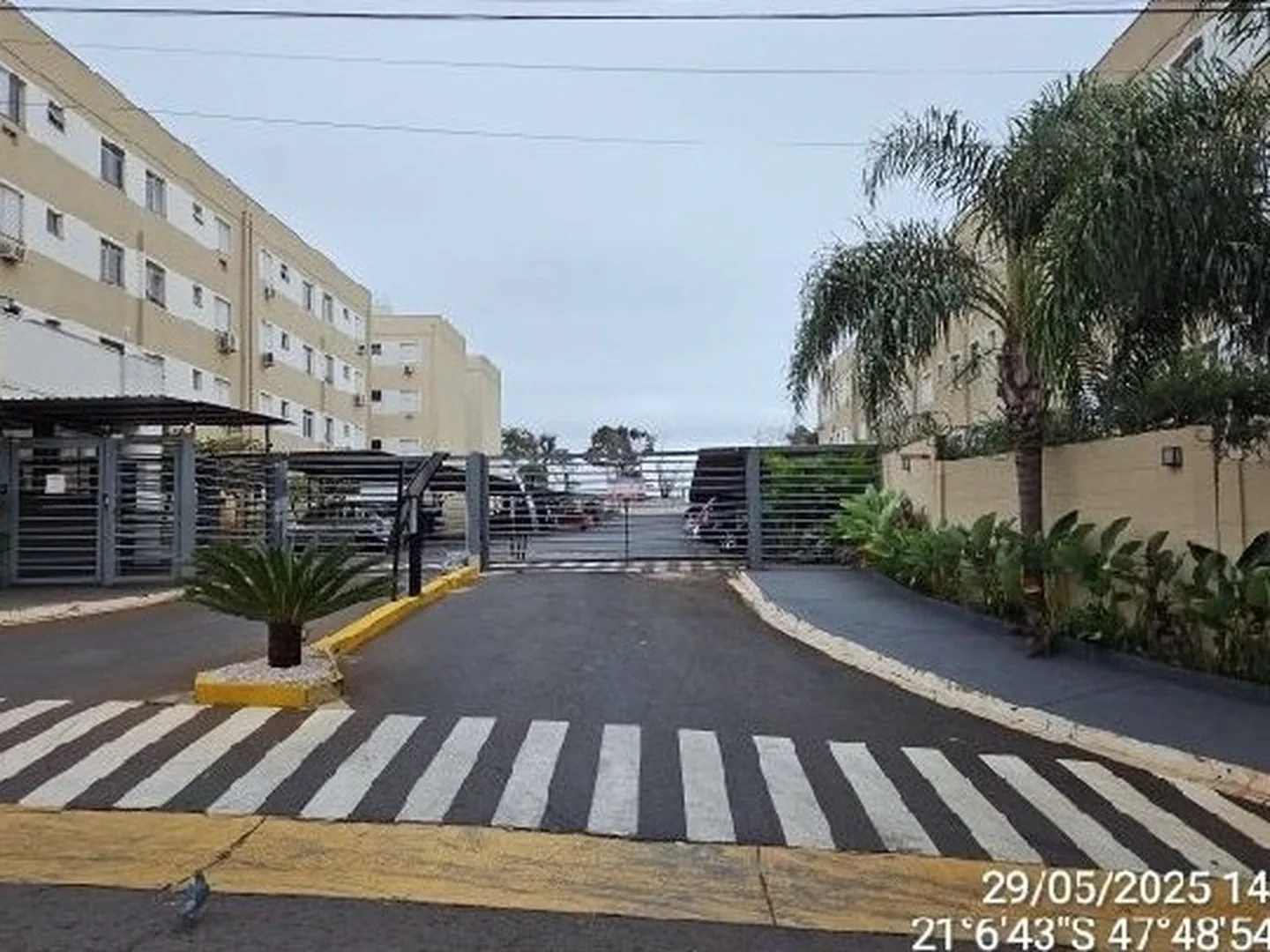 Apartamento - Ribeirao Preto, SP - foto 1
