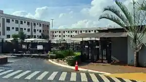 Apartamento - Ribeirao Preto, SP