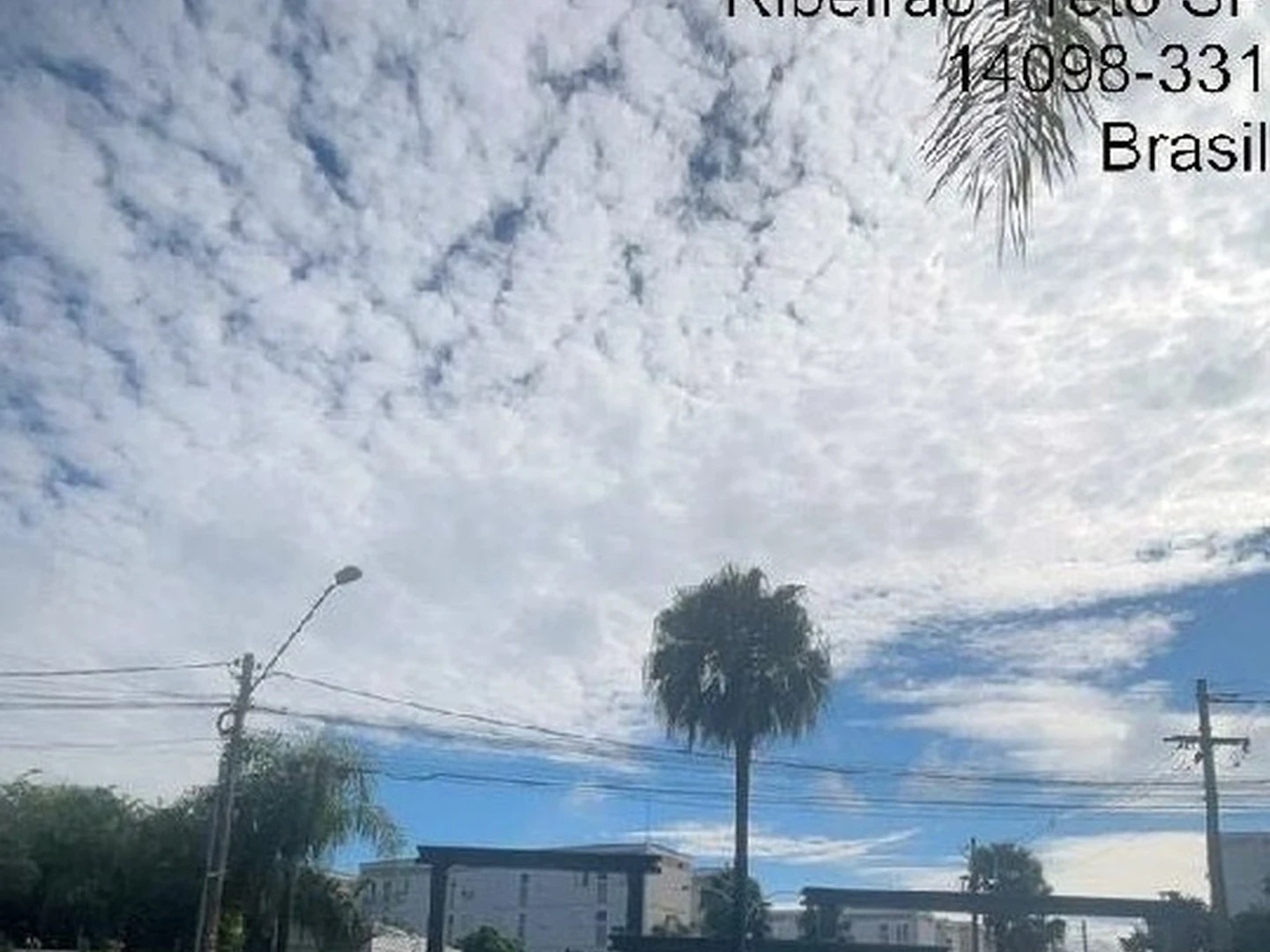 Apartamento - Ribeirao Preto, SP - foto 1