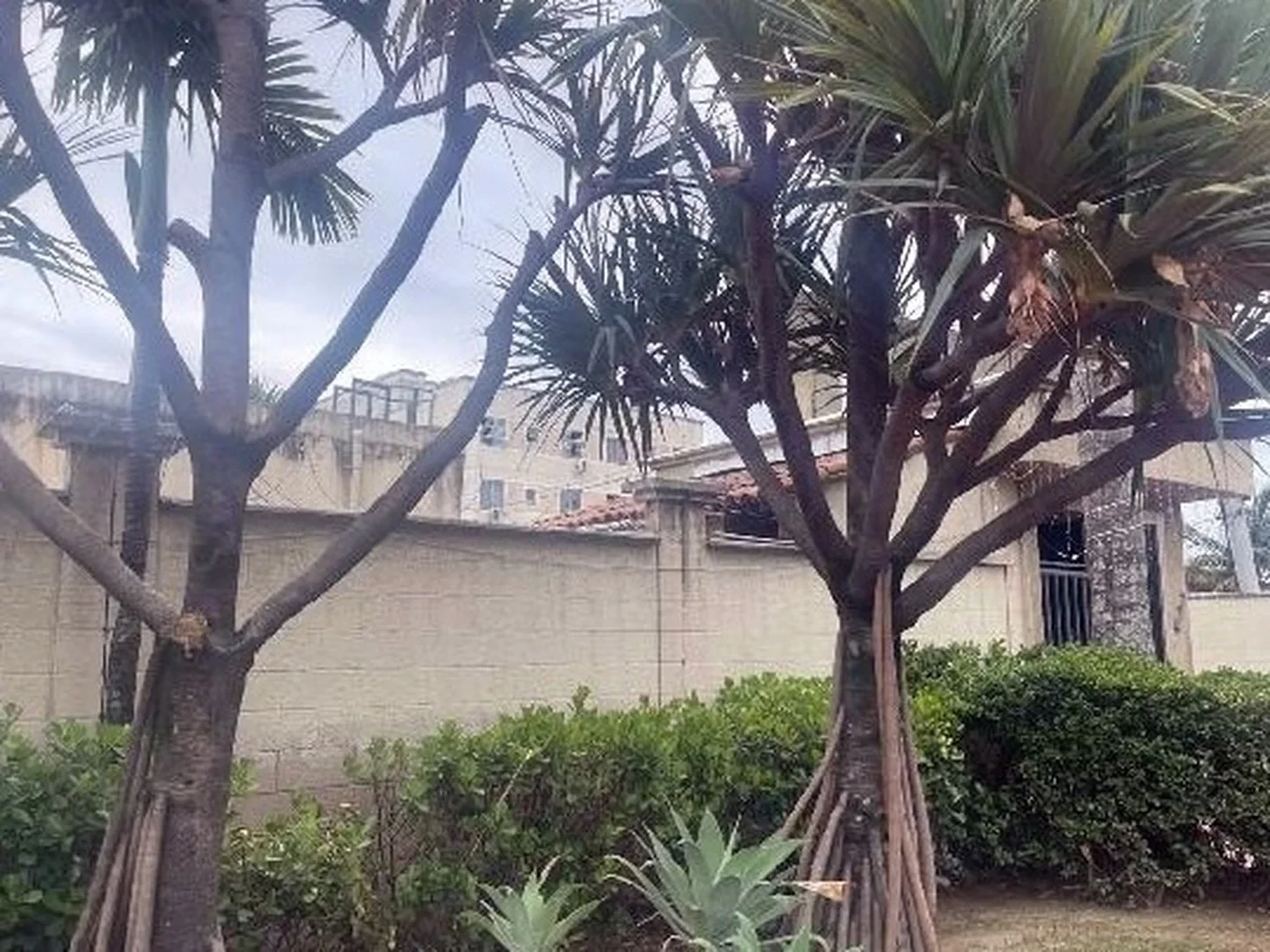 Apartamento - Rio De Janeiro, RJ - foto 1
