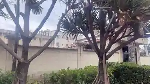 Apartamento - Rio De Janeiro, RJ