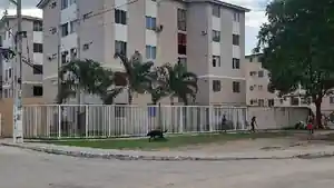 Apartamento - Itaborai, RJ