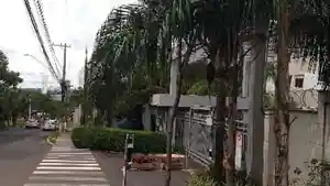 Apartamento - Araraquara, SP